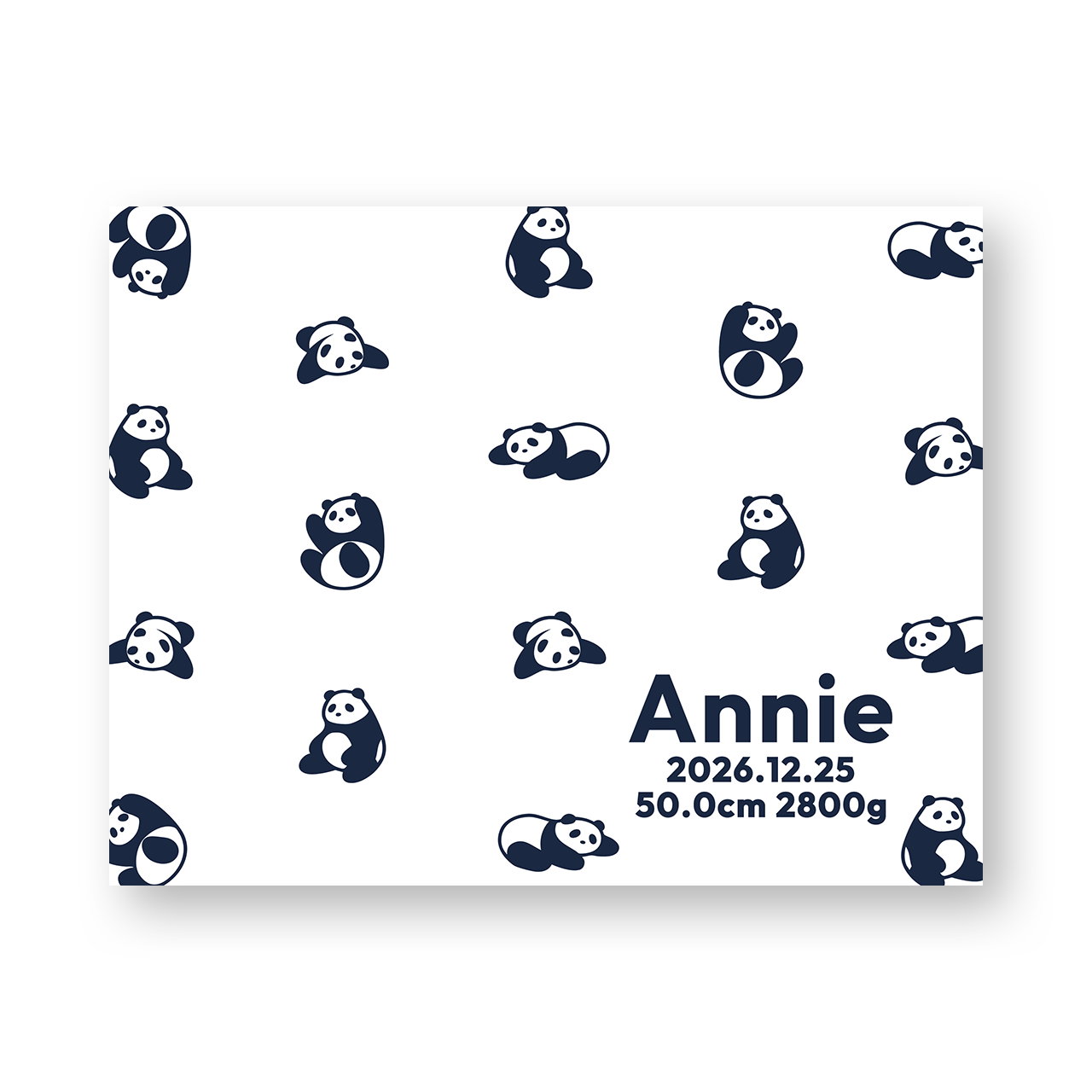 パンダ]AnniversaryBlanket オーガニック